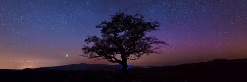 Tevolur (IDONTSUPPORTZEAL) banner