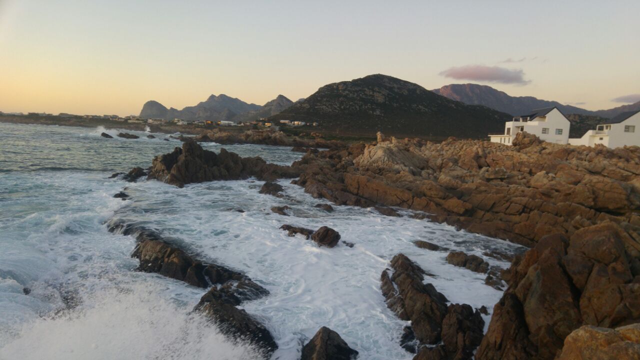 danette breitenbach banner