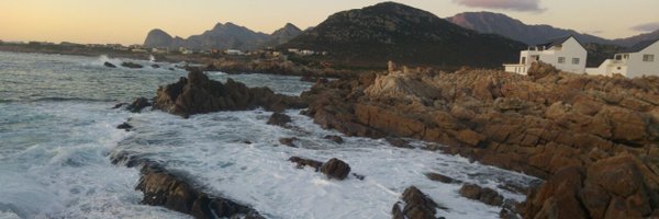 danettefrog44 Profile Banner