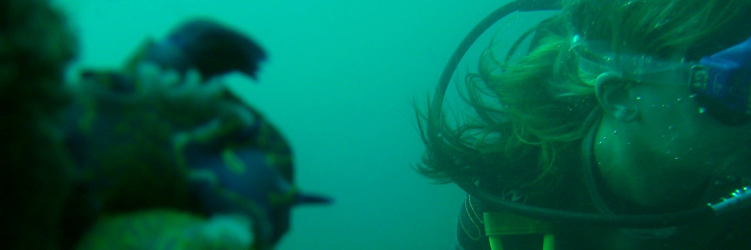 HannahRoseH's profile banner image