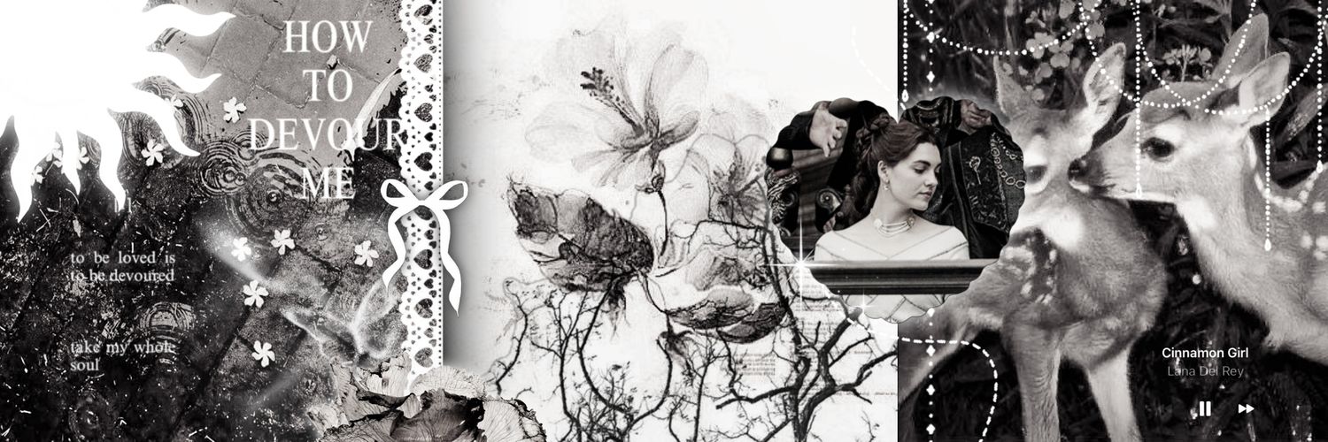 ۪ siobhan ࣪ ✦ banner