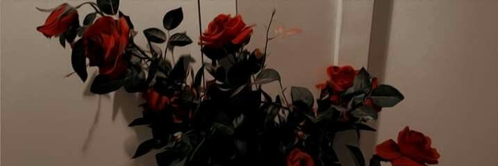 NAX2_s's profile banner image