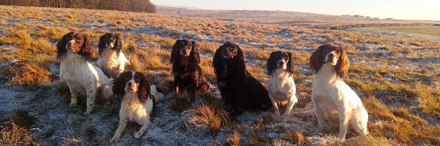 Peter Cresswell banner