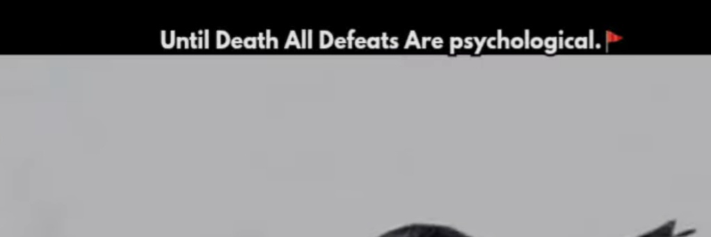 Sam one banner