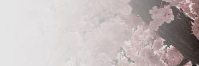 limaszxm's profile banner image
