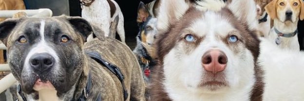 randuh_xo's profile banner image