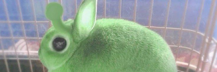 Puppiestummy's profile banner image