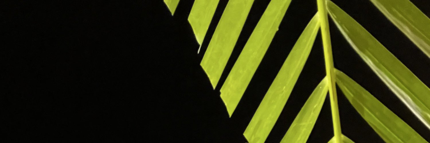 hazelbait's profile banner image