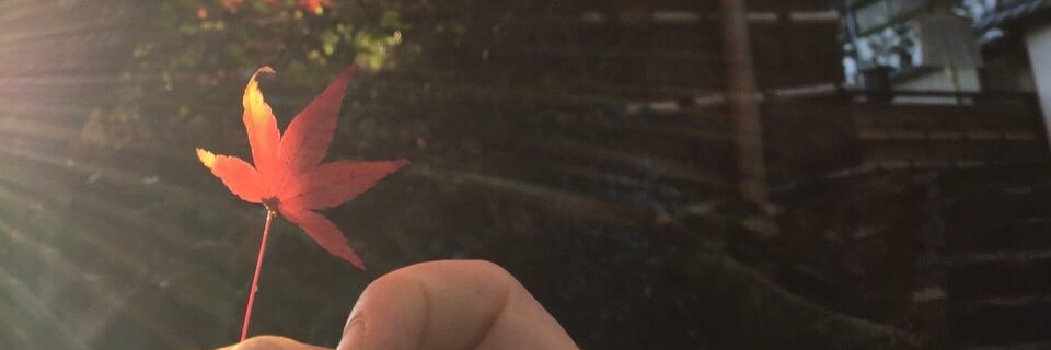 DancerAsuka's profile banner image