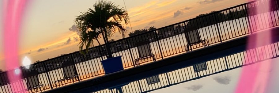 _xRosepedals's profile banner image
