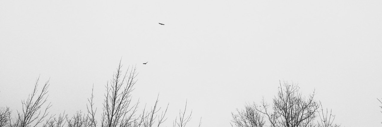 alex____wright's profile banner image