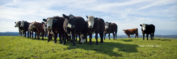 AmerGrassfed Profile Banner