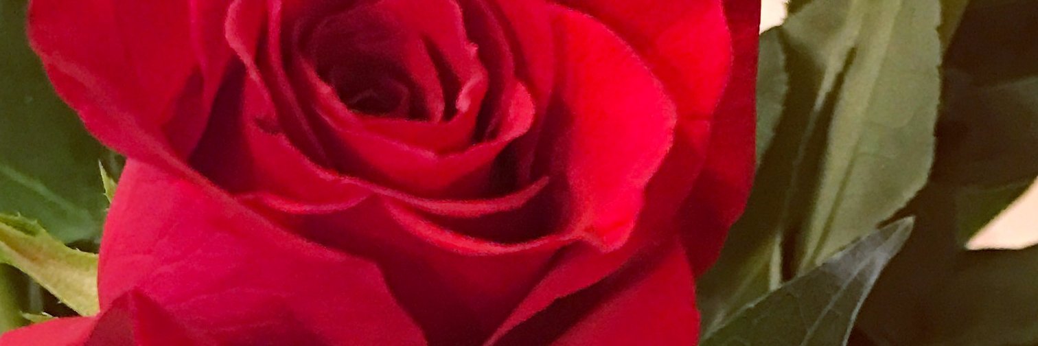 Jillian Whitney banner