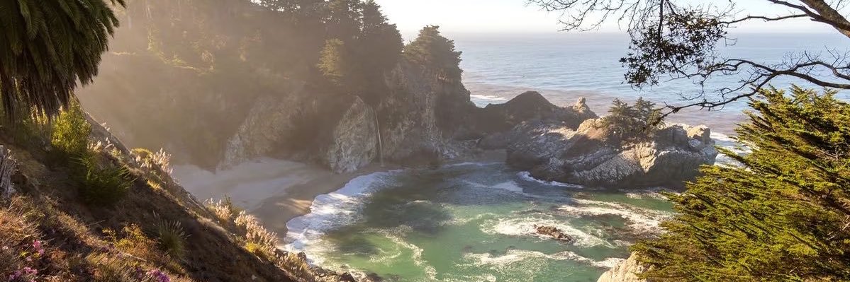 Rocketfish🚀 banner