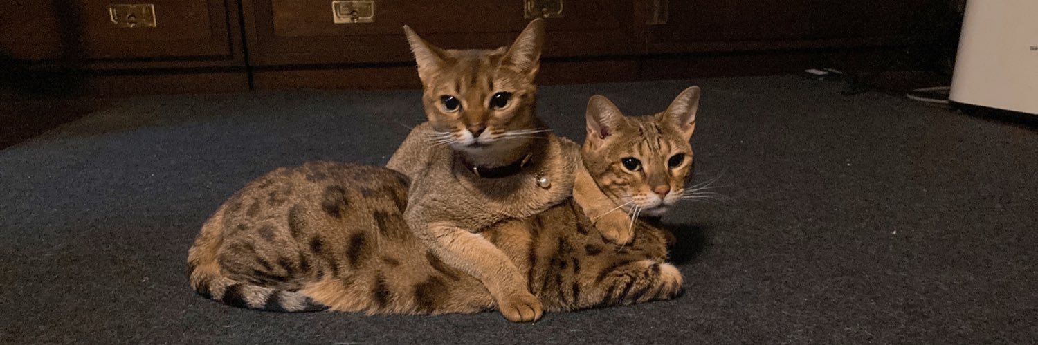 まる( ･ᴗ･ ) banner