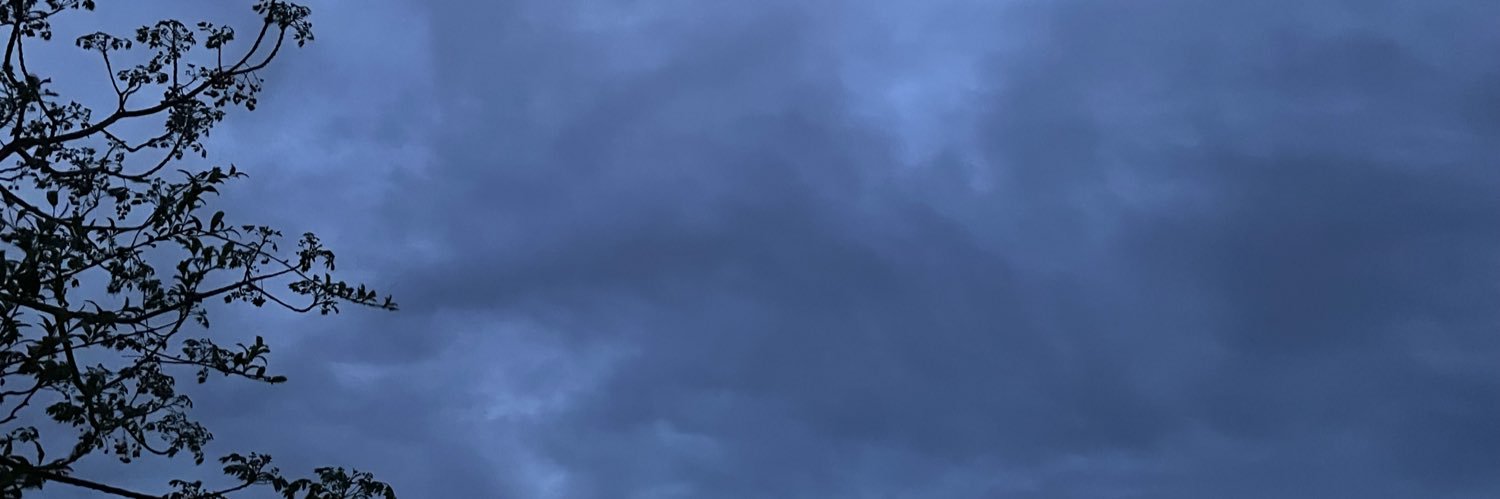 Hadia Sakhizada banner