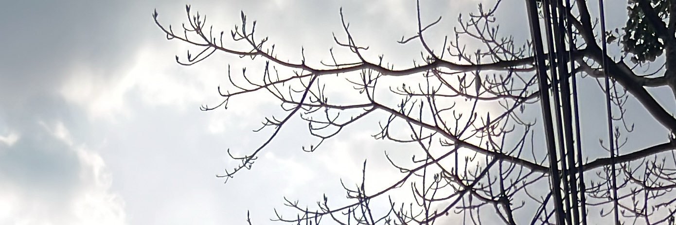 keiyupit banner