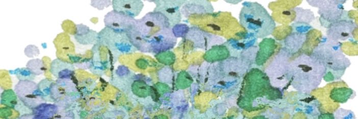marikowadaillust banner