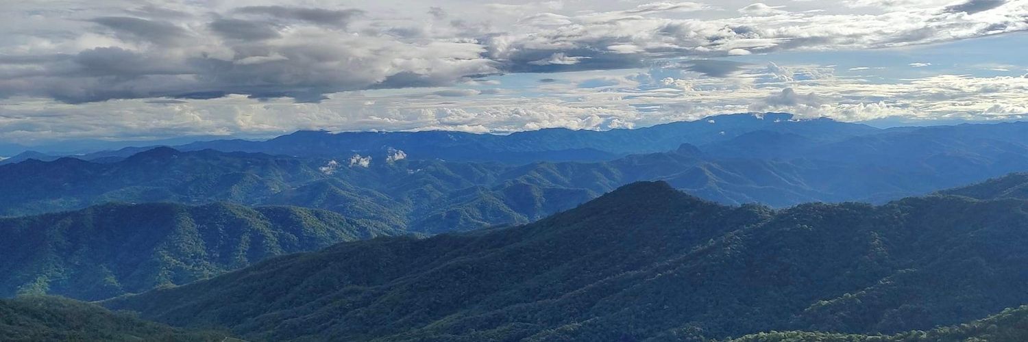 mmint ςʕ⁠´⁠•⁠ᴥ⁠•.`ʔ banner