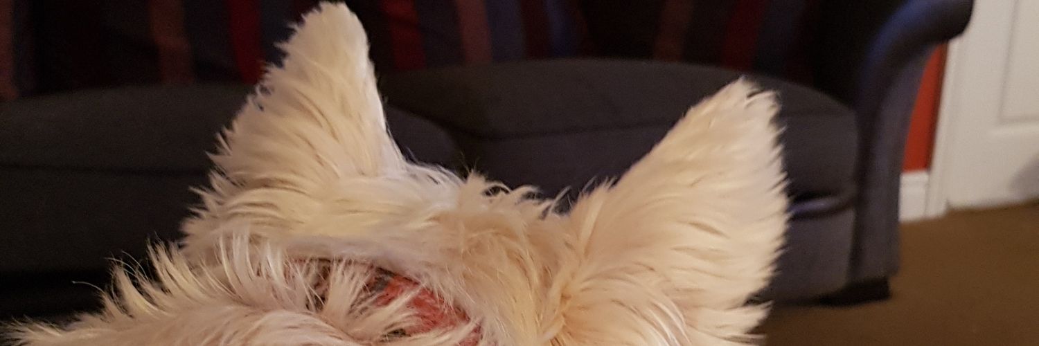 JHalcrow1's profile banner image