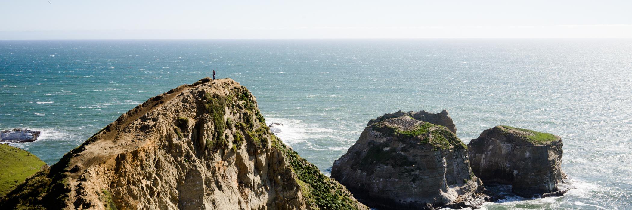 ActiveJunky.com banner