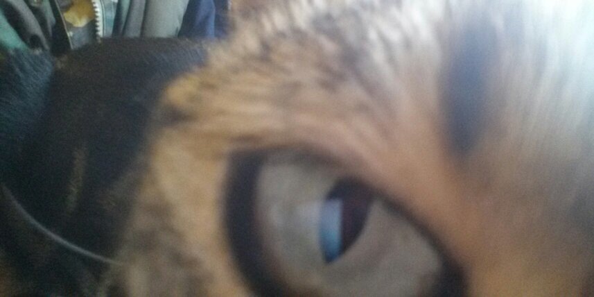TechTheCat's profile banner image
