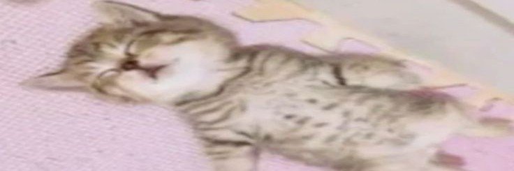 sogo119's profile banner image