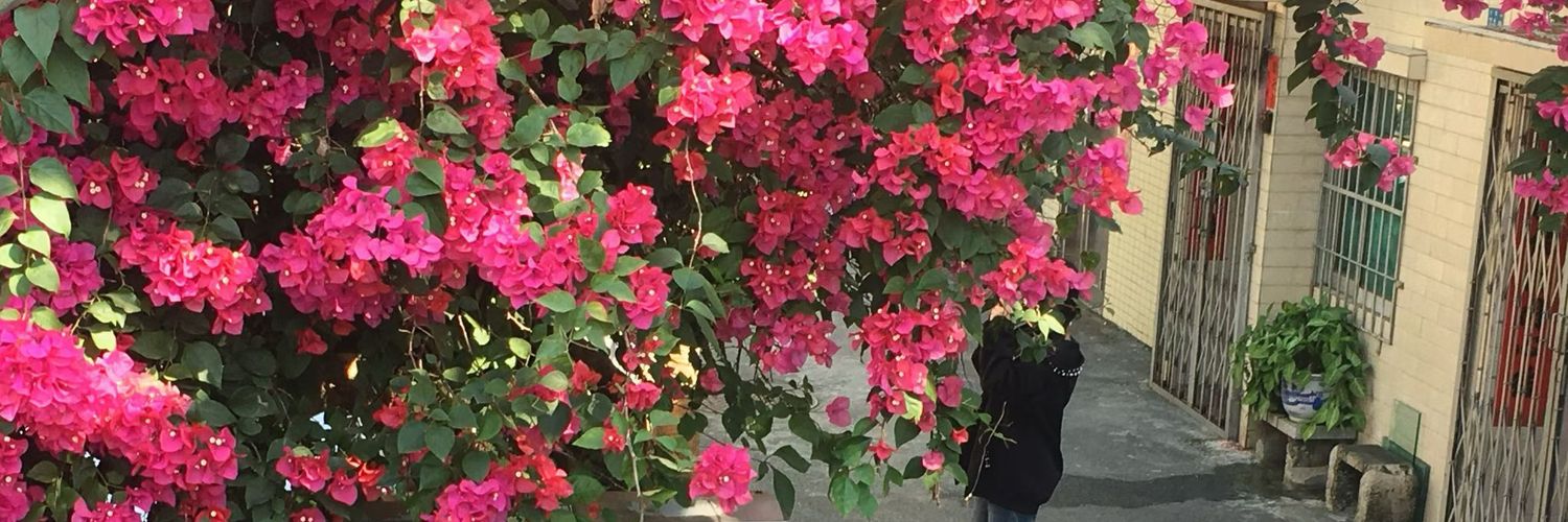 全球变暖eee（互关） banner