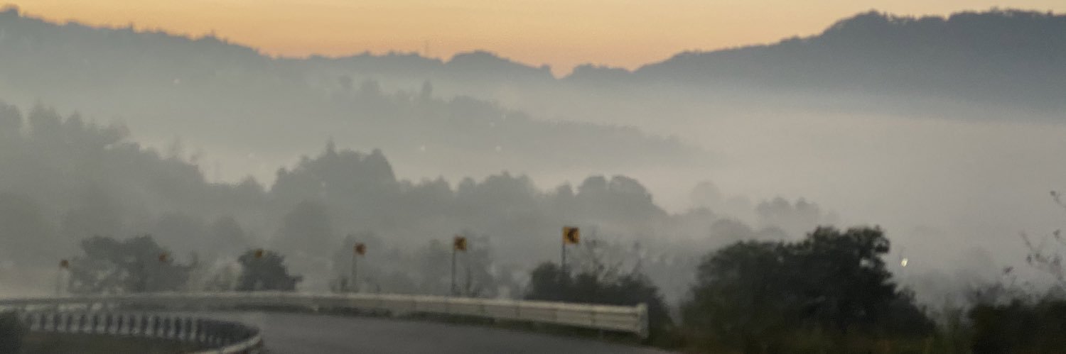 Roldanie's profile banner image