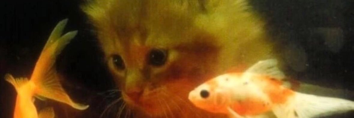 شـمـس 🌞 banner