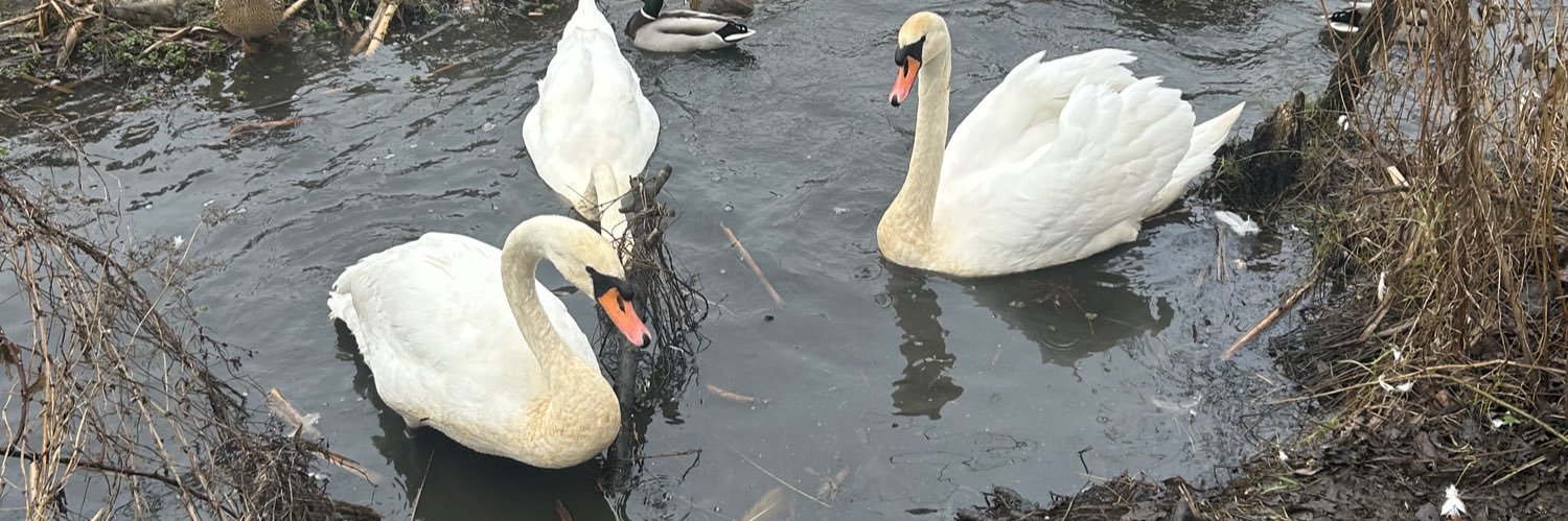 victoria martin banner