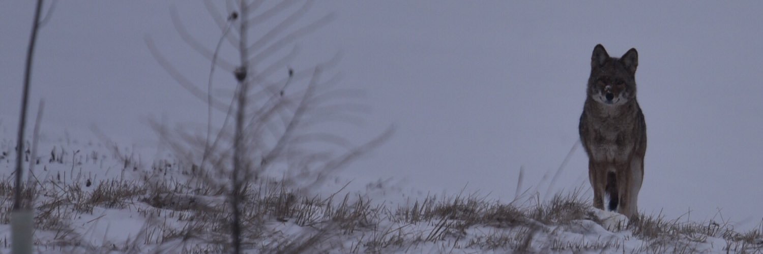 cjsstaples's profile banner image