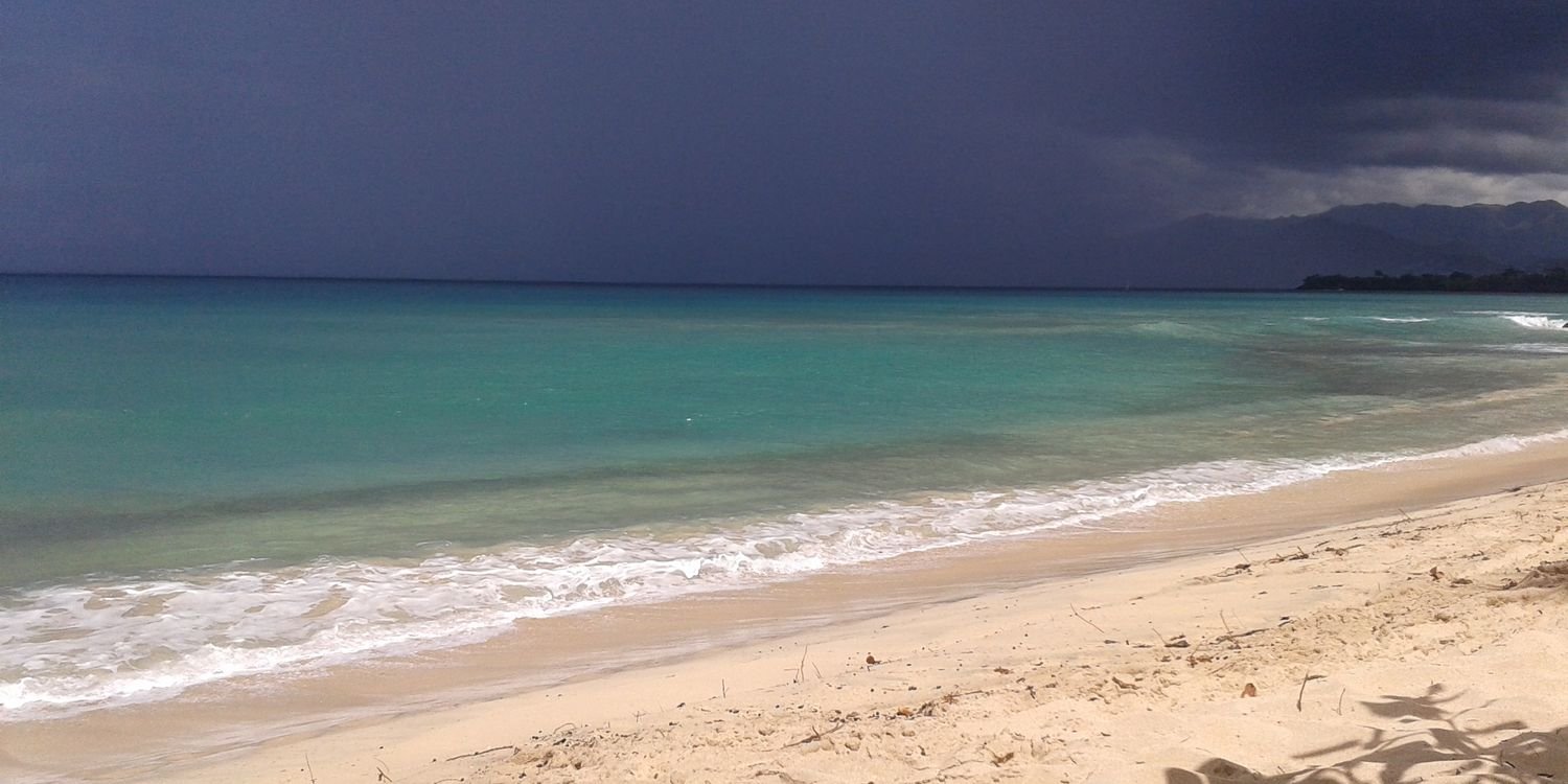 Addy Frederick banner