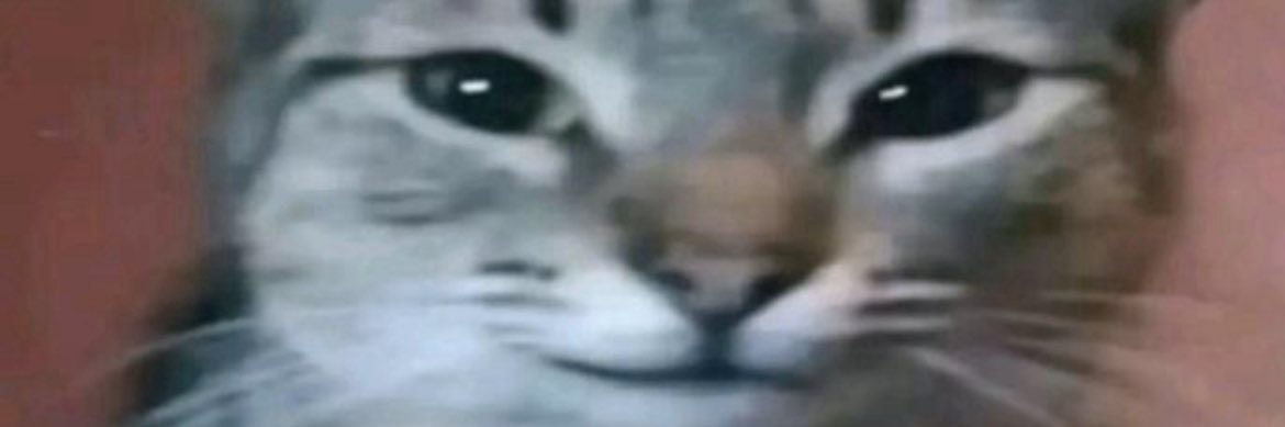 Untitled banner