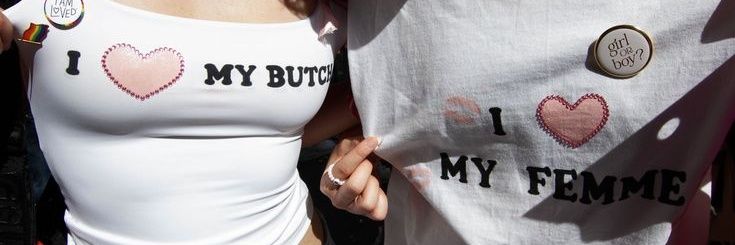 hollanova banner