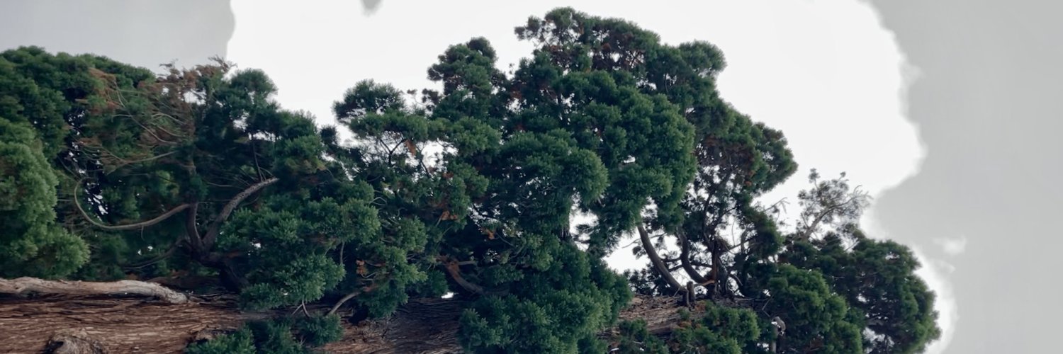 jongurutz's profile banner image