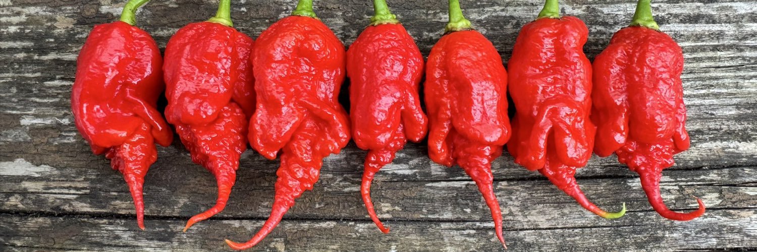 Chris TheLurch Saunders 🌶 banner