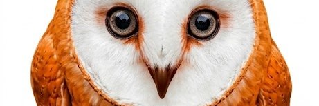 aswinrajcodes banner