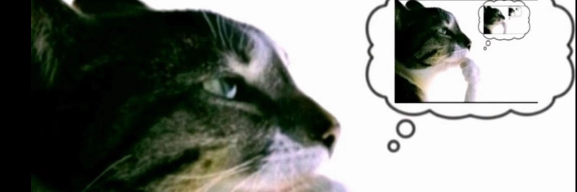 sam1sosa's profile banner image