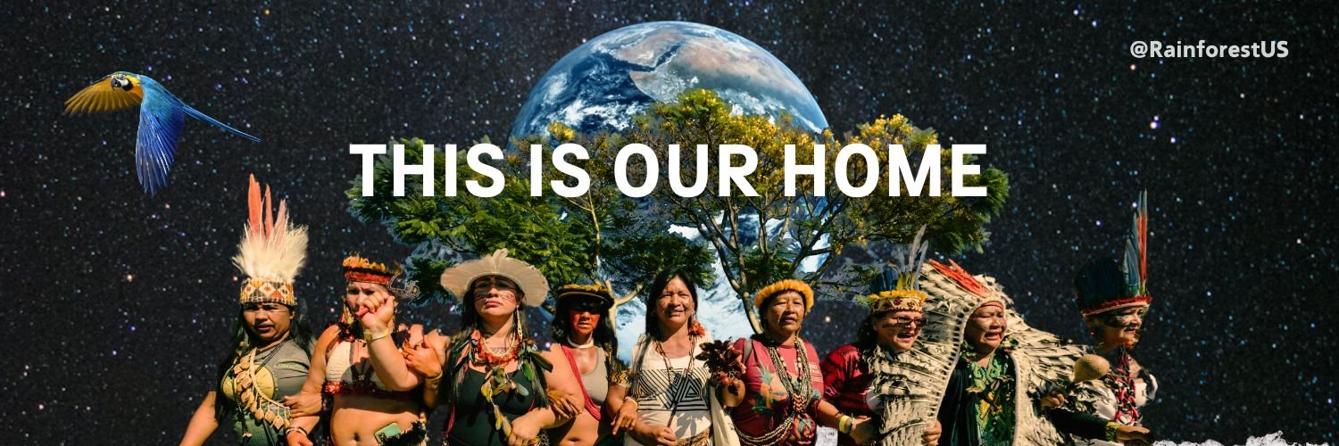 Rainforest Foundation US's banner