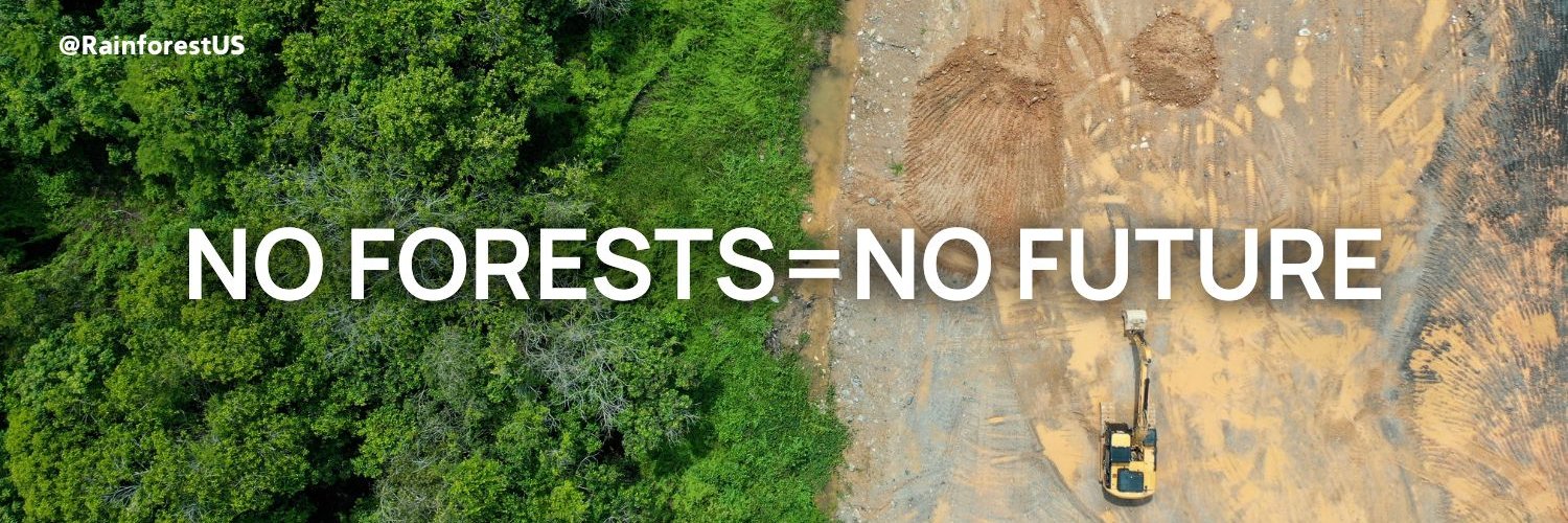 Rainforest Foundation US banner