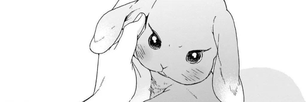 chasi ⋆𐙚₊˚⊹♡ findom banner