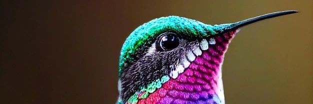 MayitoSANA's profile banner image