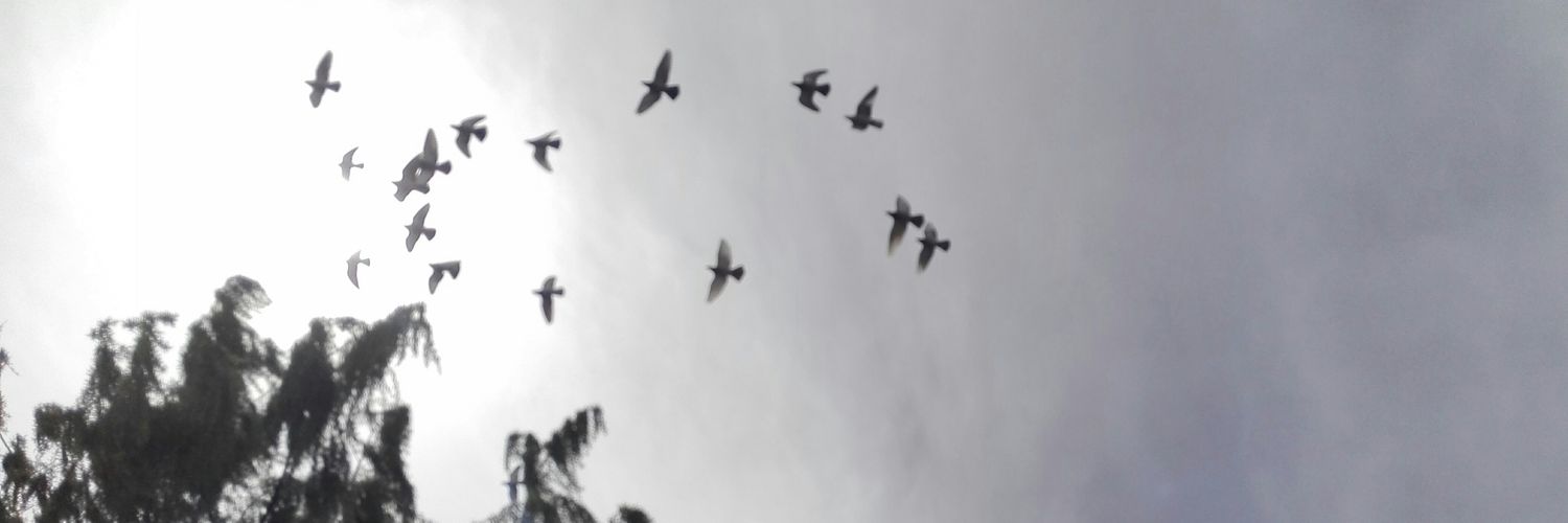 LuisinaCle's profile banner image