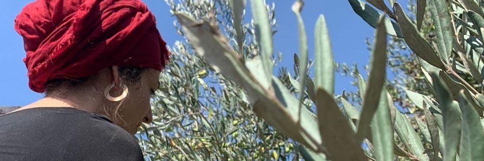 קול רבני לזכויות אדם banner