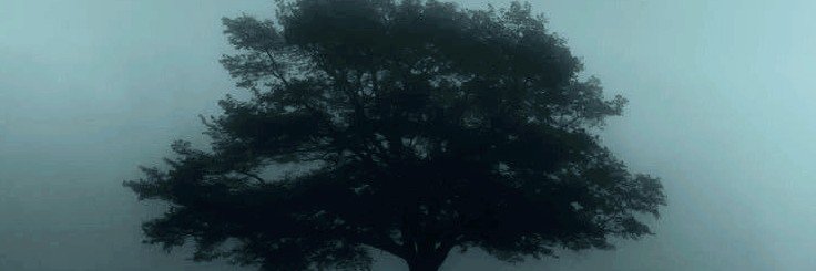 S7S_S7V's profile banner image