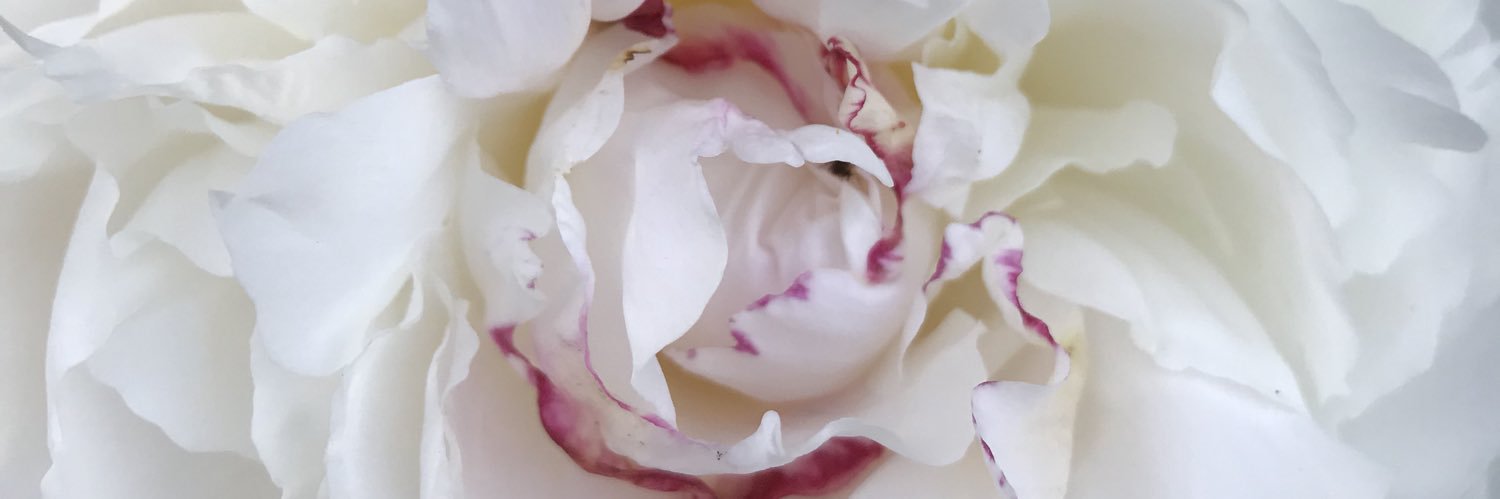 4Debbie1975's profile banner image
