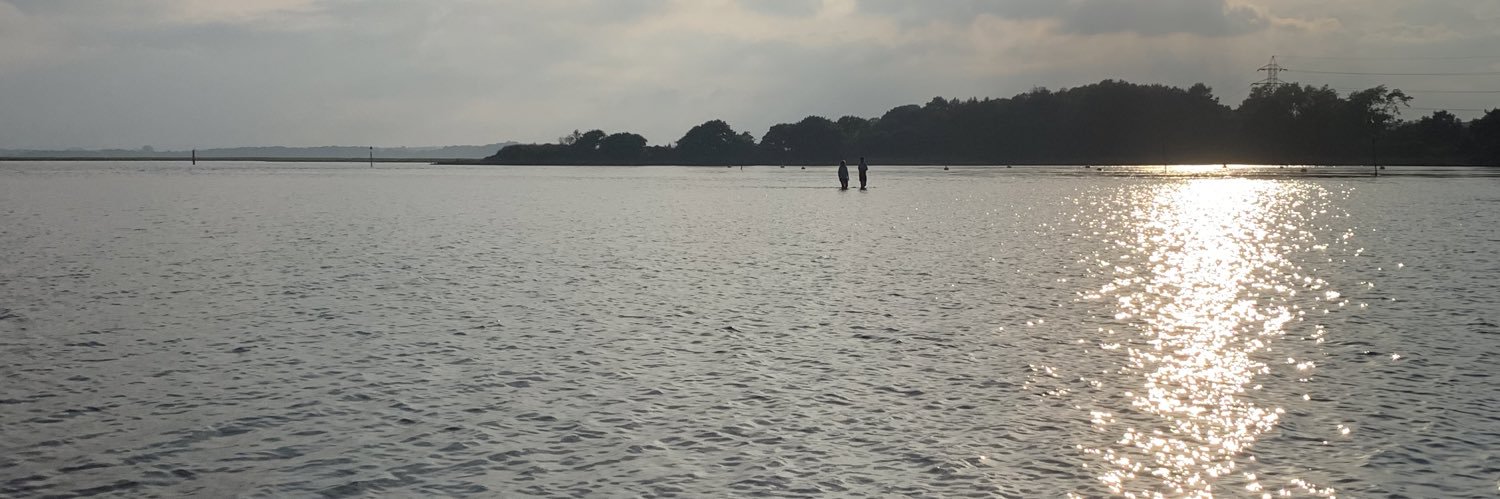 Meemish's profile banner image