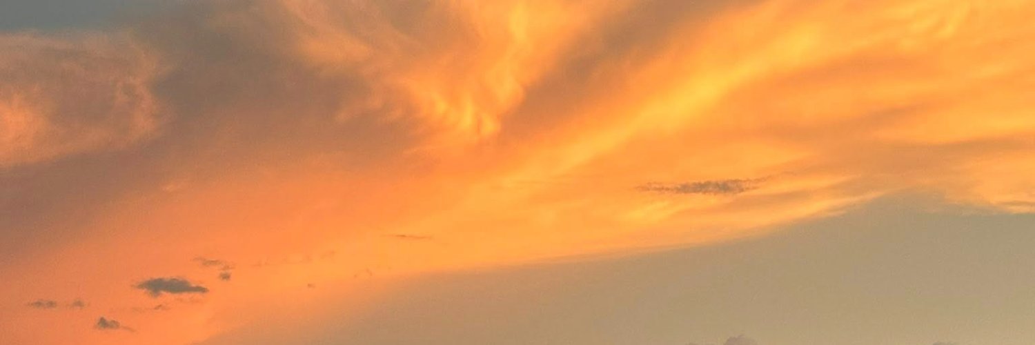 MaxwellT45646's profile banner image