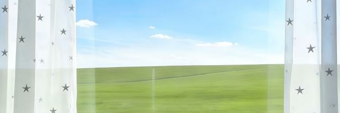 吃点什么饭呢 banner